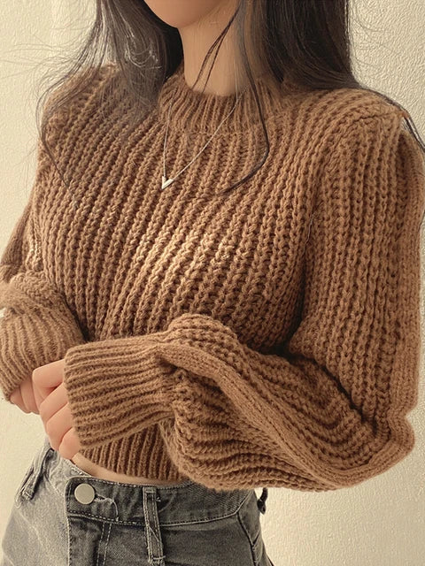 Vintage Lantern Sleeve Knit Sweater